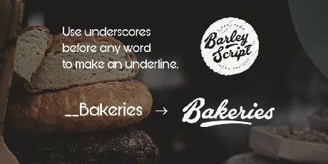 Barley Script PERSONAL USE font