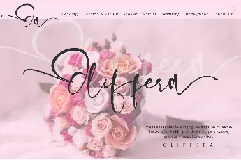 Olliffia font