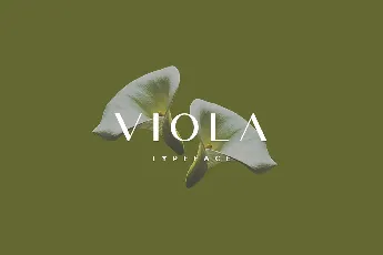 Viola Typeface font