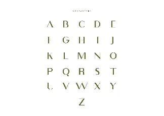 Viola Typeface font