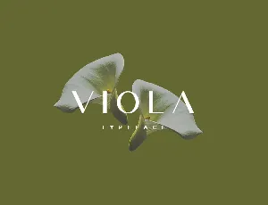 Viola Typeface font