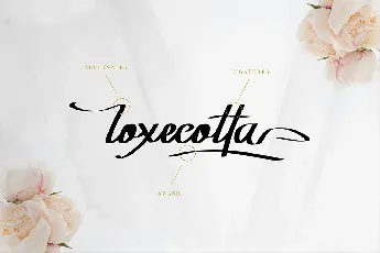 Rockyoletta Calligraphy Script font