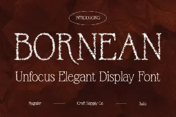 Bornean Unfocus font