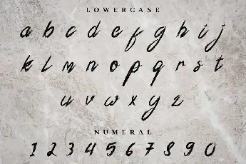 Xander Bruce Demo font