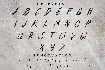 Xander Bruce Demo font