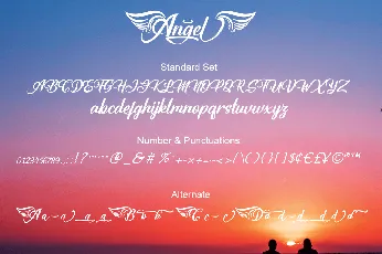 Angel Vol.2 font