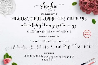 Shanhie Script font