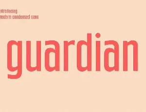 Guardian font