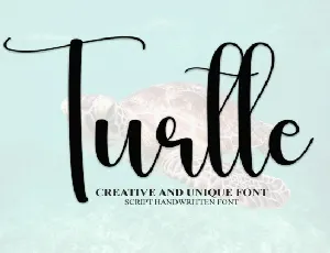 Turtle Script font