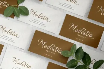 Stellina Calligraphy font