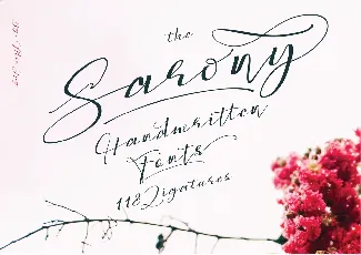 Sarony Handwritten Script font