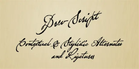 Brev Script font