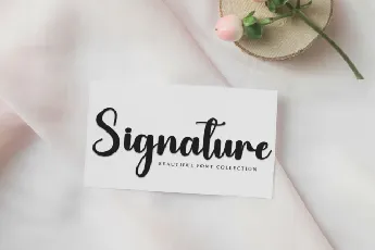 Slight Script Typeface font