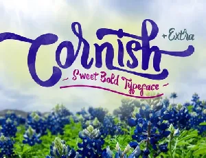 Cornish + Extra Typeface Free font