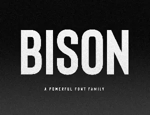 Bison font