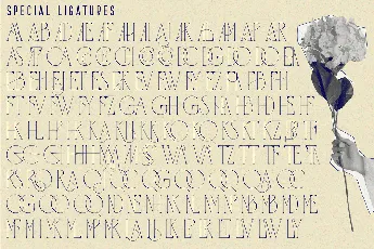 QUARANTINE REGULATIONS font