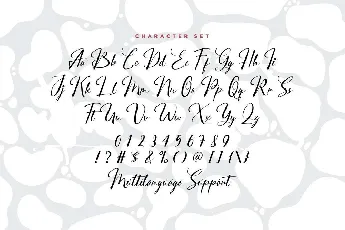 City Halle font