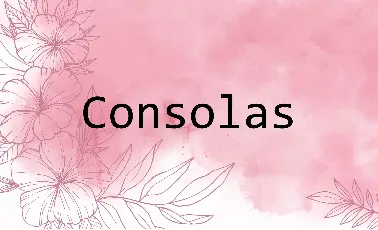 Consolas Family font