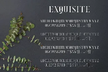 Exquisite font