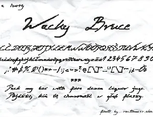 Wacky Bruce font