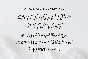 Birdland font