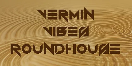 Vermin Vibes Roundhouse font