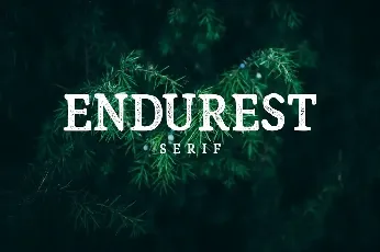 Endurest font