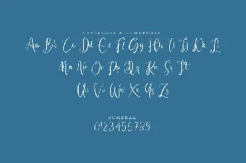 Napet font