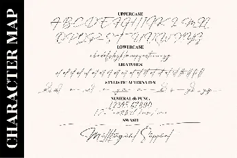 Patricia Signature font