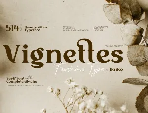 Vignettes Typeface font