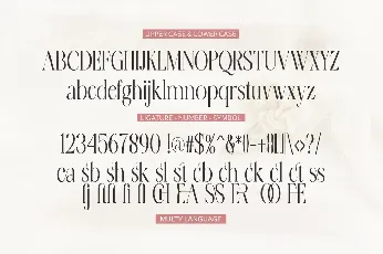 Erangle font