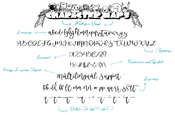 Mollusca font