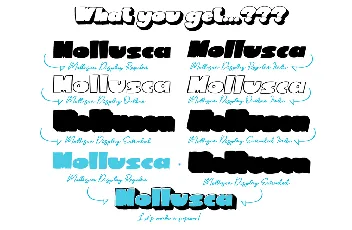 Mollusca font