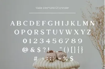 Vista Delmora font