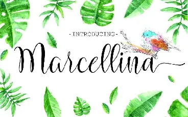 Marcellina Script Free Download font