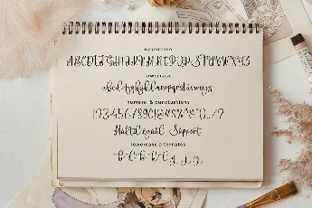 Abigailside font