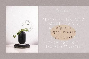 Balinest font