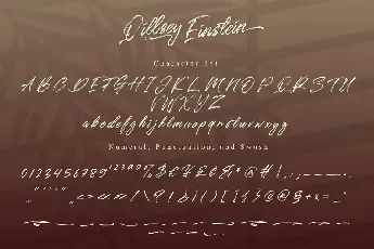 Qillsey Einstein Brush font