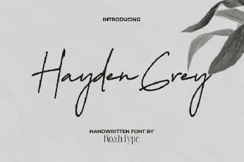 Hayden Grey font