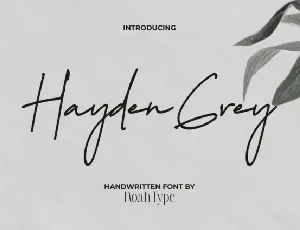 Hayden Grey font