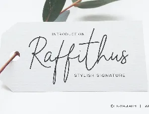 Raffithus font