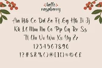 Hello Raspberry Demo font