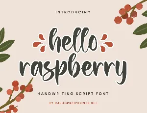 Hello Raspberry Demo font