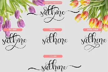 Charllie Script font