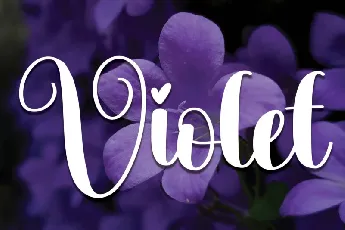 Violet Script font