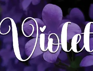 Violet Script font