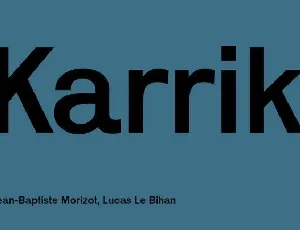 Karrik Sans Serif font