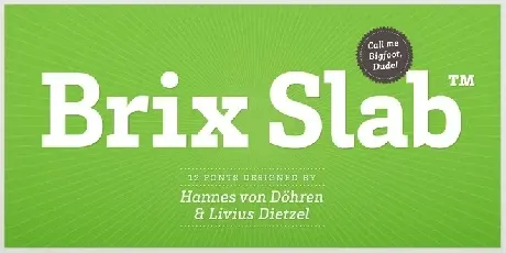 Brix Slab Family font