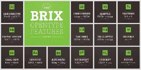 Brix Slab Family font