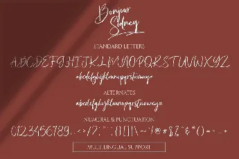 Bonjour Sidney font